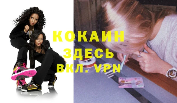 твердый Абаза
