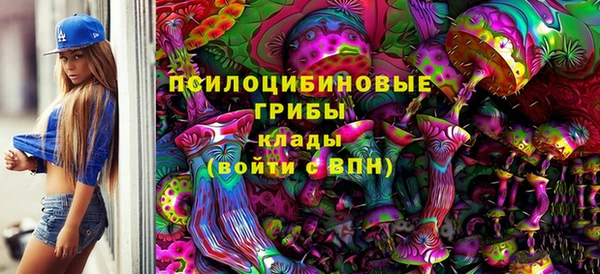 твердый Абаза