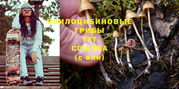 ПСИЛОЦИБИНОВЫЕ ГРИБЫ Абинск