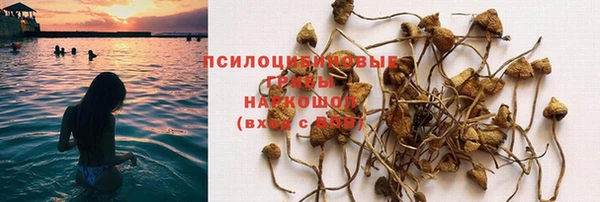 твердый Абаза