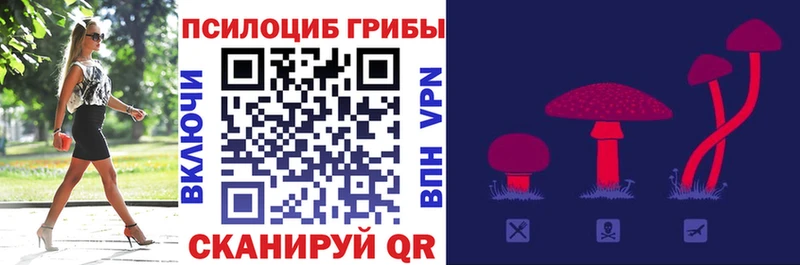 Галлюциногенные грибы Psilocybine cubensis  где найти наркотики  Инта 